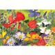 WATERMARK GREETING CARD SPRINGTIME